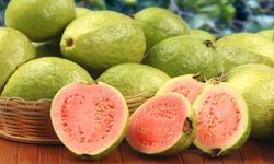Guava Bitkisi Faydaları Nelerdir?