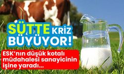 Sütte ESK’nın müdahalesi yetersiz kaldı! Fiyatlar düşmeye devam ediyor!