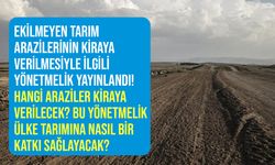 Ekilmeyen tarım arazileri ile ilgili yönetmelik yayınlandı! Tarım Bakanlığı 2 yıl ekilmeyen araziyi kiraya verecek!