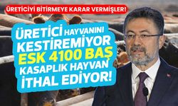 ESK üreticiye bir darbe daha vuracak! Et fiyatları düşerken 4100 baş ithal kasaplık hayvan gelecek!