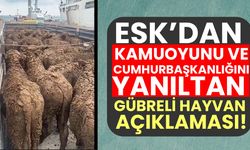 Et ve Süt Kurumu’ndan kamuoyunu ve Cumhurbaşkanlığını yanıltan gübreli hayvan açıklaması!