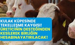 Kulak küpesinde tekelleşme kaygısı!