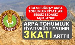 TİGEM 2024 yılı tohumluk fiyatı belli oldu! Fiyatlar yüzde 9 ile 15,3 oranında arttı!