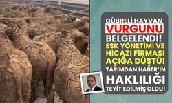 Besilik hayvan ithalatında gübre vurgunu teyit edildi! ESK üreticiye 8 kilo gübre parası ödeyecek!