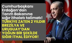 Cumhurbaşkanı Erdoğan'dan Tarım Bakanına sığır ithalatı talimatı!