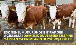 ESK Genel Müdüründen itiraf gibi açıklama! Damızlık düve merkezlerine yapılan yatırımların hepsi boşa gitti!