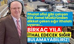 Paramız olsa da sığır ithal edemeyeceğiz! ESK Genel Müdüründen dikkat çeken ithal sığır uyarısı!