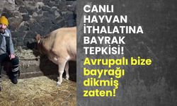 Canlı hayvan ithalatına bayrak tepkisi: Avrupalı bize bayrağı dikmiş zaten!