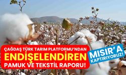 Çağdaş Türk Tarım Platformundan endişelendiren pamuk ve tekstil raporu: Mısır'a kaptırıyoruz!