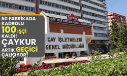 50 fabrikada kadrolu 100 işçi kaldı ÇAYKUR artık mevsimlik çalışıyor!