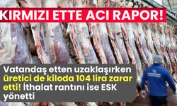 Kırmızı ette çarpıcı rapor! Üretici kiloda 104 lira zarar etti!