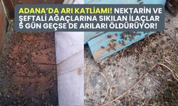 Adana’da arı katliamı! Nektarin ve şeftali ağaçlarına sıkılan ilaçlar arıları yok ediyor!