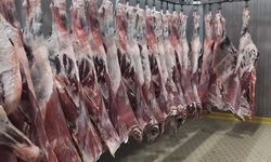 UKON’da karkas kesim fiyatı değişmedi, yalnızca kuzu hareketli