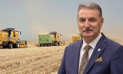 Buğdayda gözler TMO'da: 2025 alım fiyatı 12,5 TL mi olacak?