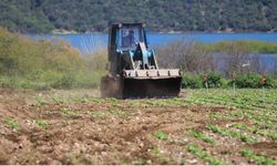 Bursa'da tarım krizi: DSİ ile çiftçi karşı karşıya geldi
