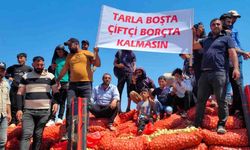 Çiftçiler soğanları yola döktü: Üreten değil, ithal eden kazanıyor!