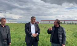 Hububat alım fiyatının açıklanması öncesi çiftçiden TMO’ya çağrı: “İthalatı değil, yerli üreticiyi destekleyin”
