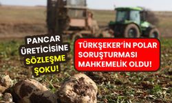 Pancar üreticisine sözleşme şoku: Türkşeker'in polar soruşturması mahkemelik oldu