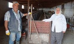 30 yıl süt ürettiler, sonunda evi borçla alabildiler: İnek sattık, kira geliriyle geçinmeye çalışıyoruz!