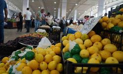 Küresel limon pazarında yaz hareketliliği: Avrupa’da fiyatlar artıyor, ABD’de arz baskısı sürüyor