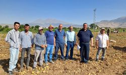 Patates üreticisi isyanda, ürün tarladan sofraya değil çöpe gidiyor!