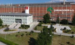 Çiftçiye pancar tuzağı! Özel şeker fabrikasında belgeli usulsüzlük!
