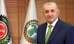 Yangını onlar söndürüyor ama geçim derdiyle onlar yanıyor: Orman işçileri insanca yaşam bekliyor