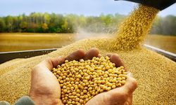 Soya üreticisine çifte destek geliyor: Yeni destekleme tebliği Resmi Gazete’de yayımlandı