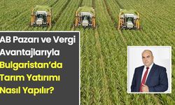 Bulgaristan’da tarımsal yatırım ve oturum: Türkiye’den gelenler için uzman rehberi
