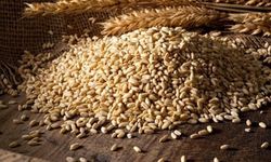 Tarımsal ürün piyasalarında son durum: Buğday ve arpa yükselişte