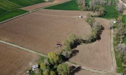 Çorum’da kiraya verilecek tarım arazileri askıya çıktı: Ortalama parsel büyüklüğü 10,6 dönüm