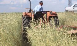Çiftçi ne kadar indirimli kredi kullandı? Bakan Yumaklı rakamları açıkladı