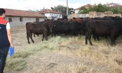 Ankara’da kırsalda bereket projesinde ilk teslimatlar yapıldı