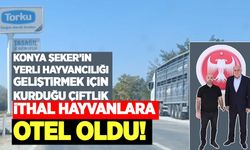 Konya Şeker’in Taşağıl Çiftliği ithal hayvanlara “otel” oldu