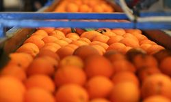 Turuncu kriz kapıda: Portakalda kuraklık ve bolluk fiyatları altüst ediyor