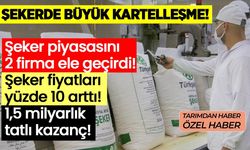 Şekerde büyük kartelleşme: 2 firma piyasayı ele geçirdi