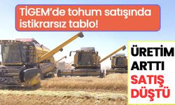 TİGEM’de tohum satışında istikrarsız tablo: Üretim arttı, satış düştü