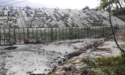 Bereket Sigorta çiftçiye 9 ayda 1,9 milyar lira hasar ödemesi yaptı