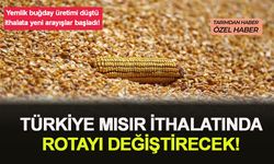 Yemlik buğday üretimi düştü Ukrayna yerine Güney Amerika'dan ucuz mısır ithalatı gündemde!
