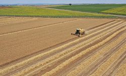 Ekilmeyen tarım arazisine kira geliri: Mersin’de tek parsel 14 bin TL