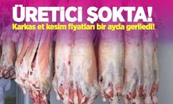 Üreticiye şok: Karkas et kesim fiyatları bir ayda geriledi!