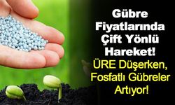 Dünya Gübre Fiyatları Listesi: ÜRE kaç dolar? DAP, MAP ve Potas son bir ayda ne kadar değişti?