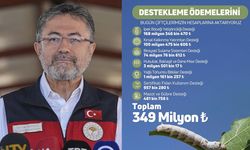 349 milyon lira çiftçiye bugün yatıyor! En büyük pay ipek böceğine