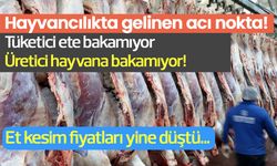 Karkas Et Fiyatları