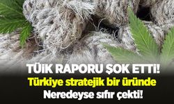 TÜİK raporu şok etti: Türkiye stratejik bir üründe neredeyse sıfır çekti!