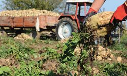 Eskişehir Pancar Ekicileri Kooperatifi: Çaya yüzde 34, fındığa yüzde 50, pancara yüzde 25 zam haksızlık