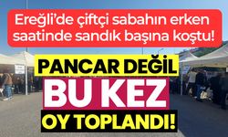 Ereğli’de pancar kooperatifi seçiminde çiftçi sandığa koştu: Yarışı Yunus Çelik önde götürüyor