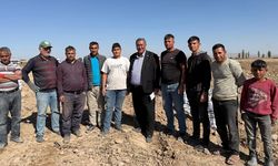 Patates üreticisi isyan etti: Çalışa çalışa battık çiftçiliği bırakıyorum!