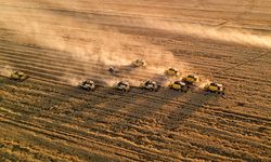 Hububat piyasası hareketlenecek: TMO buğday, arpa, mısır satışında düğmeye bastı