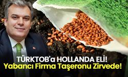 Tohumcular Birliği Başkanlığına, Hollandalı Bir Firmanın Türkiye Temsilcisi Aday!